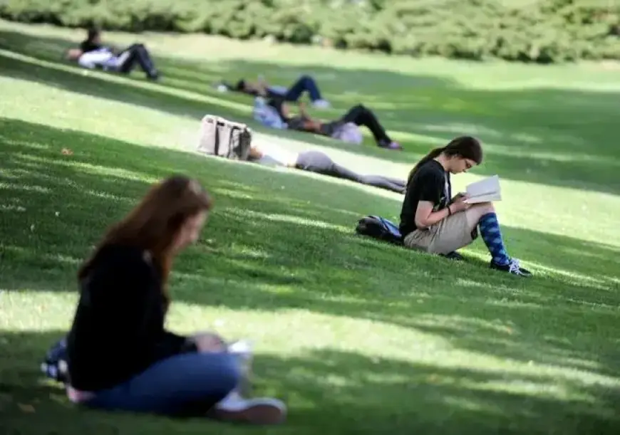 CU Boulder Explores Growth of Online Undergraduate Classes