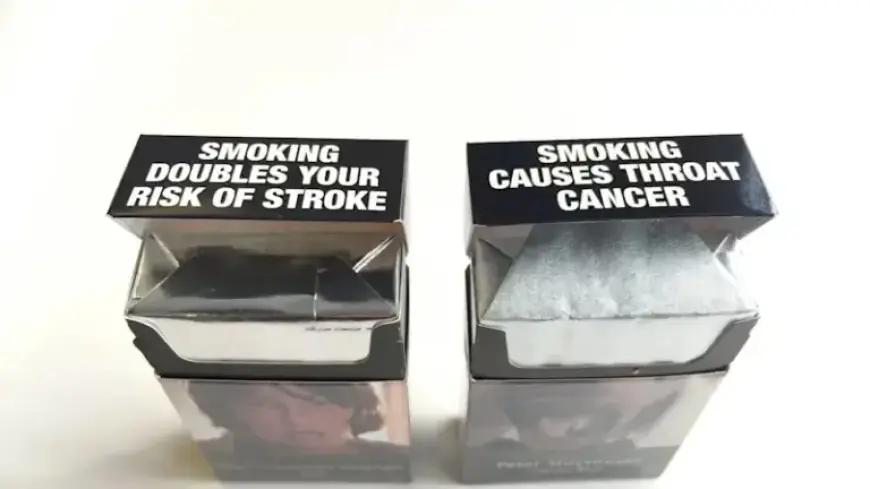 Tobacconists Reject Cigarettes Victoria Licensing Amid Impending Crackdown