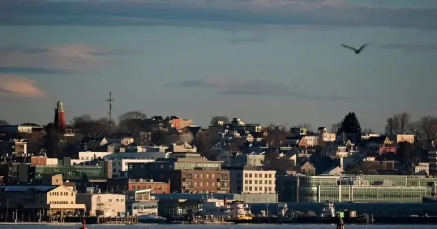 ICE Deploys Agents for New Immigration Arrest Operation in Maine