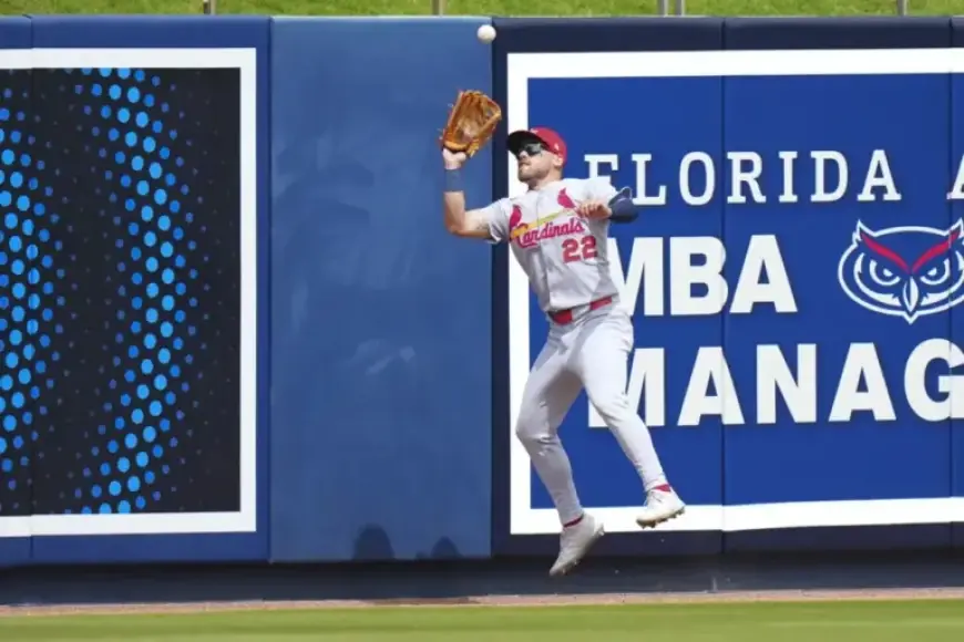 Dodgers Assign Michael Siani for Designation