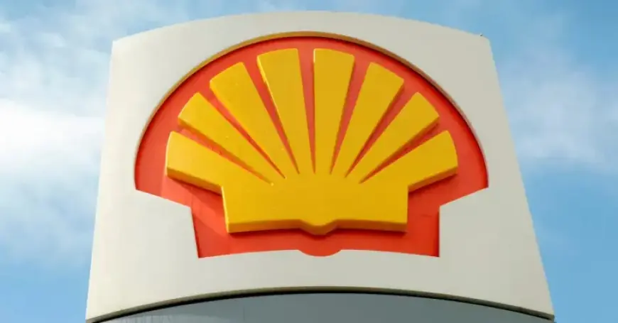 Shell’s Projects & Technology Chief Robin Mooldijk Announces Resignation