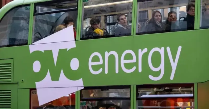 OVO Energy Customers Compensated Up to £400 for Warm Home Discount Delay