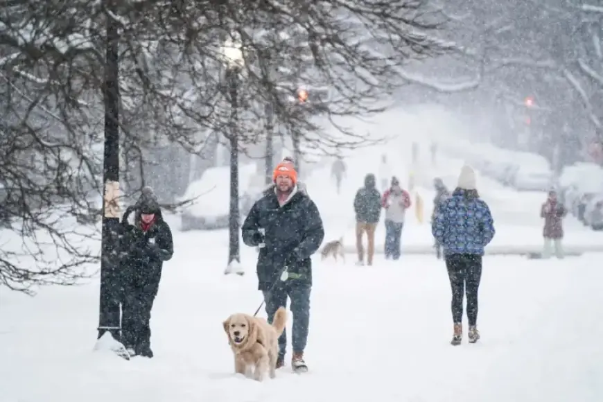 Winter Storm to Hit D.C. Hard: What You Need to Know