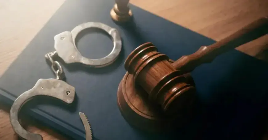 U.S. Murder Rate Drops Over 20%, Achieving Record Decline, Study Reveals