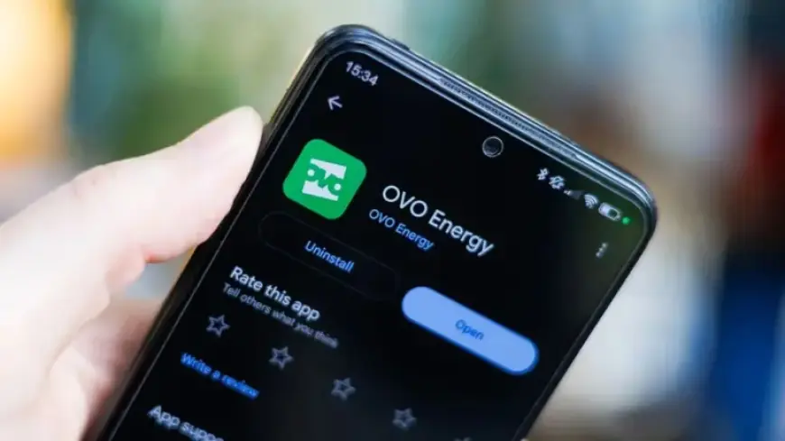 Ovo Compensates Vulnerable Customers Lacking Support