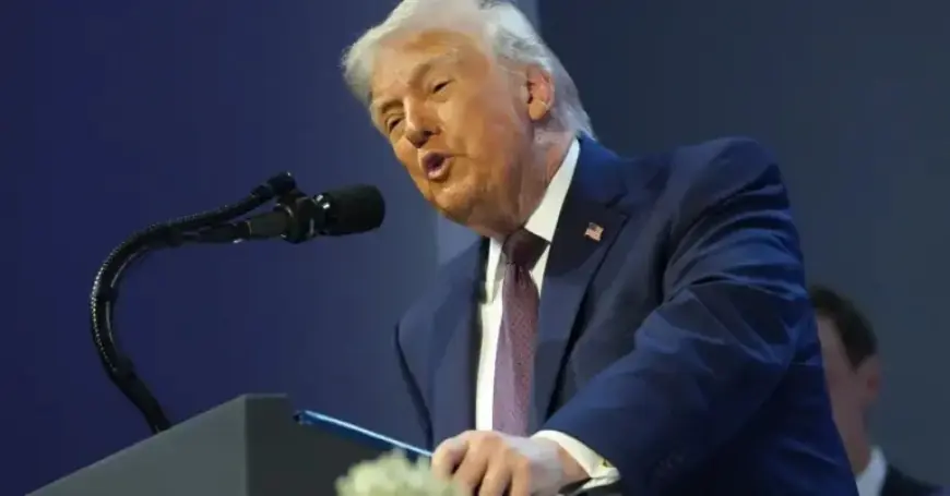 Live Updates: Trump Meets Zelensky, Attends Peace Ceremony in Davos