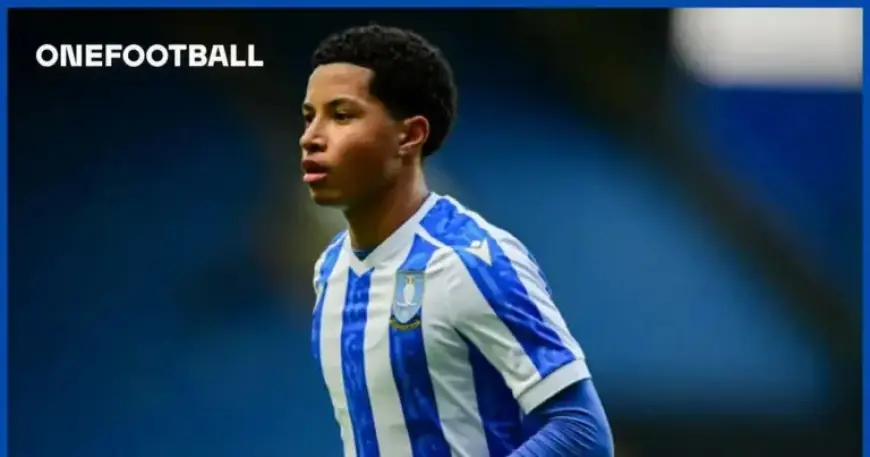 Romano Confirms Chelsea Transfer Deal with Significant Add-Ons for Rookie Player