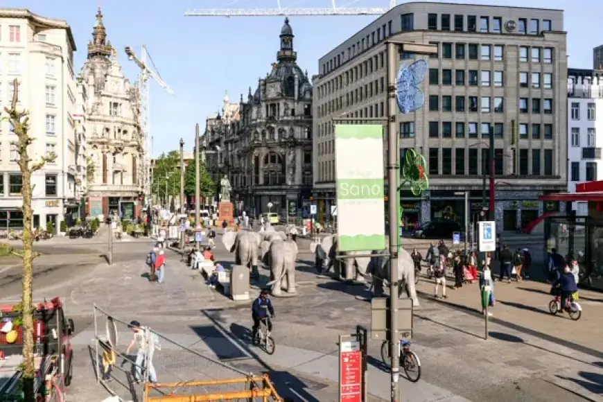 Two Suspects Arrested After Six Stabbed at Antwerp Protest