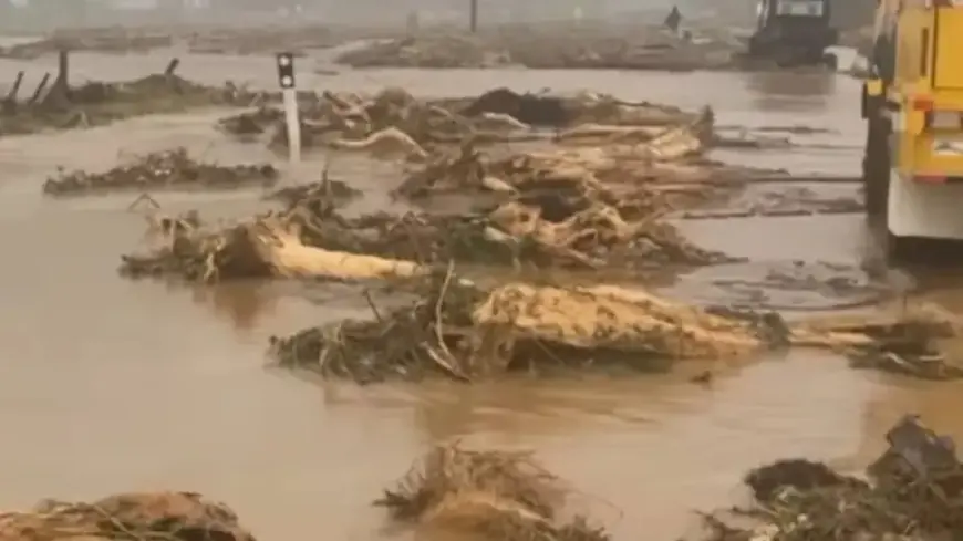 Mother Shelters Kids on Roof as Floodwaters Ravage East Coast Home