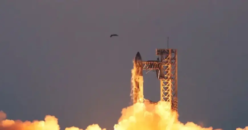 SpaceX Enlists Major Wall Street Banks for 2026 IPO, Source Reveals