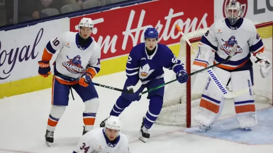 Bridgeport Islanders’ Progress Marks Significant Win for Mathieu Darche