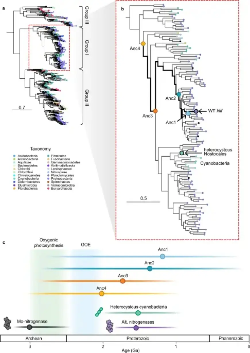 Revived Nitrogenases Replicate N-Isotope Biosignatures Across Two Billion Years