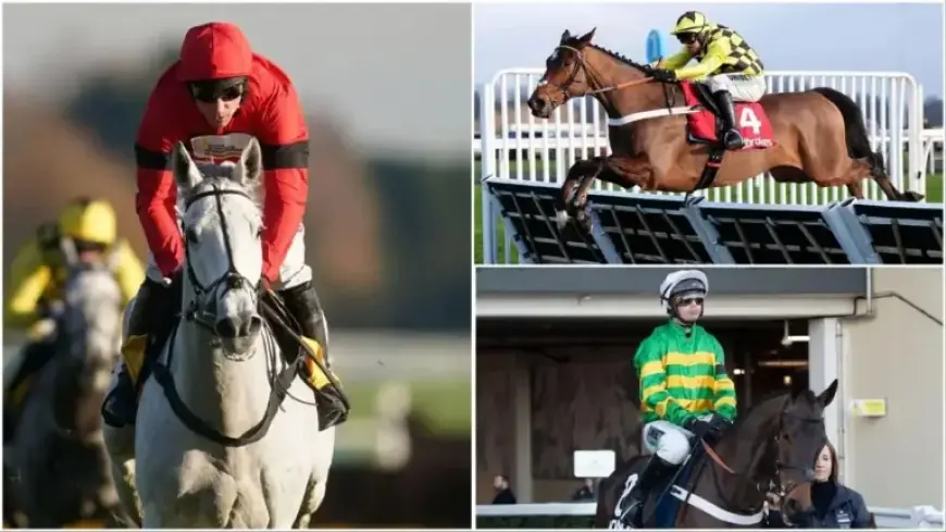 Expert Panel Shares Winning Tips for Cheltenham Festival Trials Day