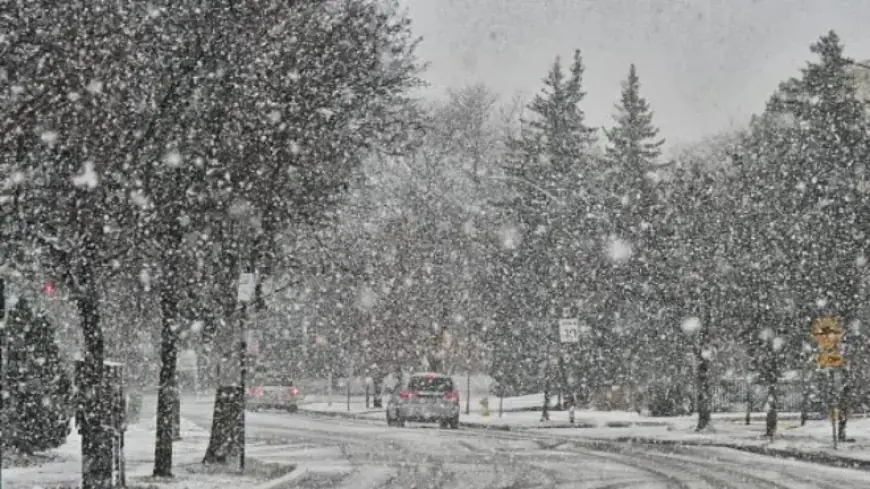 Winter Storm May Boost Conference Championship Ratings