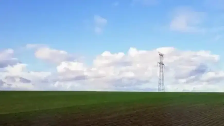 Elon Musk’s Wealth Soars to $788 Billion Amid 4% Tesla Surge