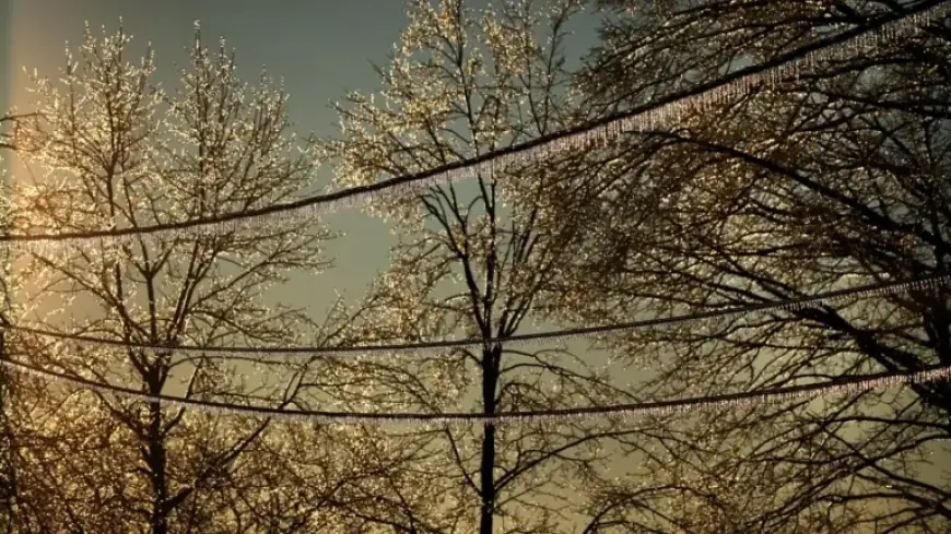 Ice Poses Greater Risks Than Snow: Essential Insights from NPR