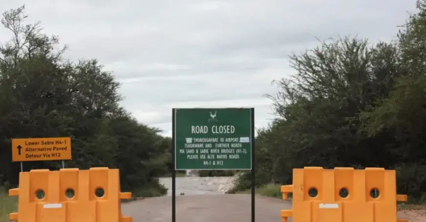 Kruger Park Faces Years of Restoration After Flood Damage in South Africa
