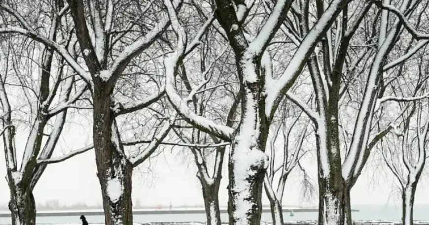 Toronto Faces -24 Wind Chill Friday Amid Ongoing Cold Snap: Live Updates