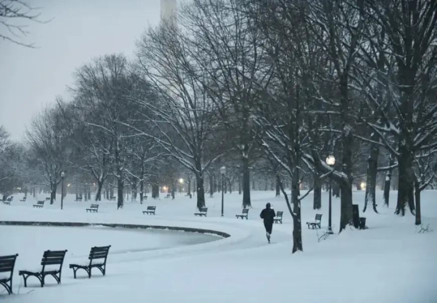 D.C. Prepares for Major Snow, Ice, and Severe Cold Impact