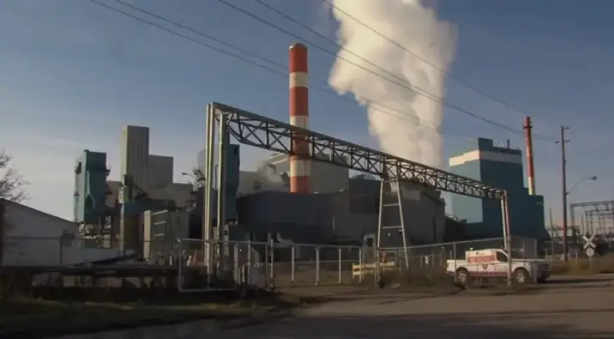 Thunder Bay Pulp and Paper Halts Newsprint Production, Cuts 150 Jobs