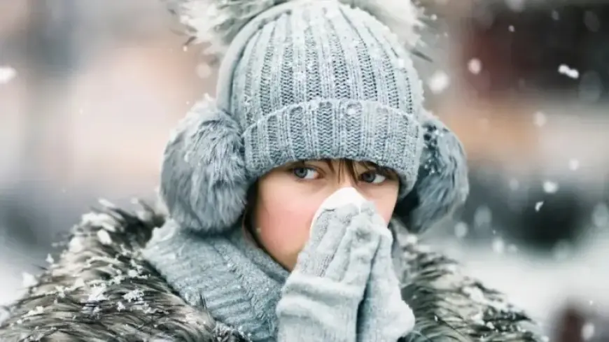 Discover What Truly Causes Illness During Cold Weather