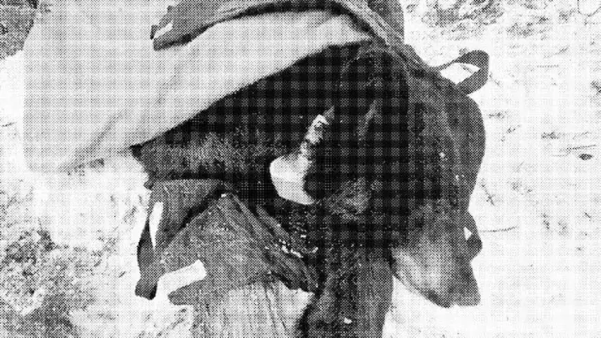 Banff National Park Leaders Relocate Black Bear Despite Experts’ Warnings