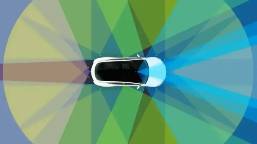 Tesla Drops Autosteer Feature from Model 3 and Model Y Trims