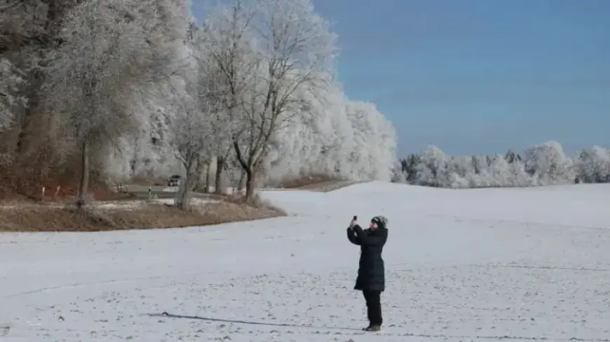 Discover Winter’s Surprise: The Truth About ‘Exploding Trees’ Phenomenon