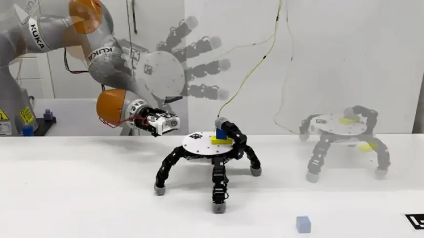 Robotic Hand Detaches to Efficiently Collect Objects