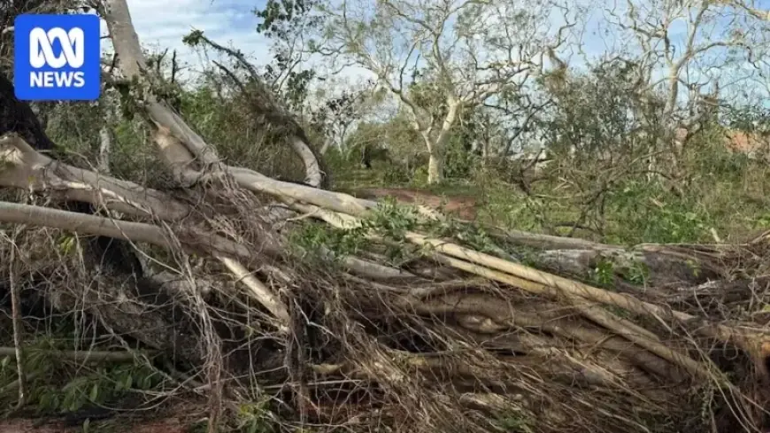 Cyclone Luana Intensifies to Category One Near Kimberley Coast