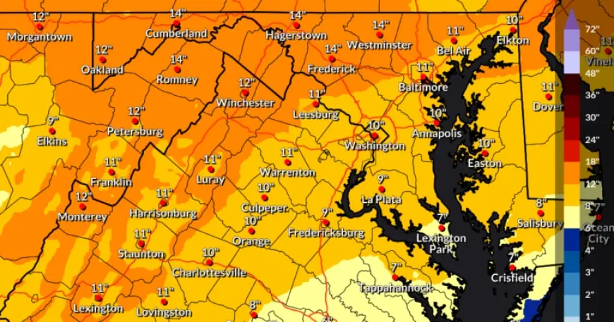 Northern Virginia Braces for Winter Storm: Up to 14 Inches of Snow Possible