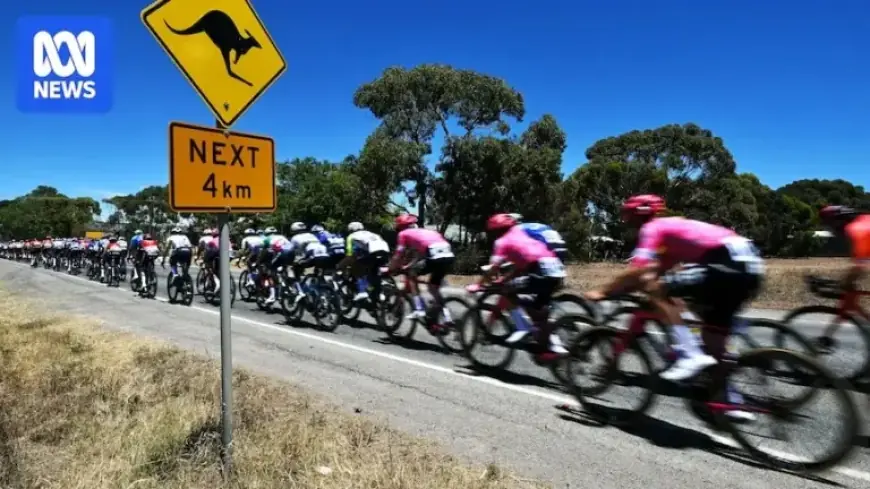 SA’s Scorching Heat Necessitates Changes to Tour Down Under