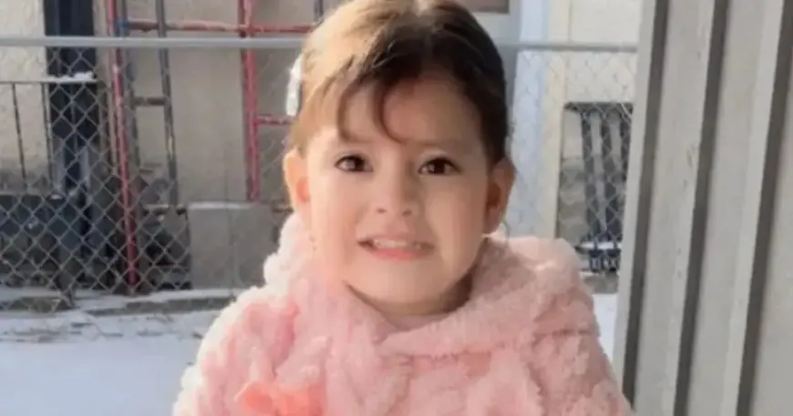 ICE Detains 2-Year-Old Girl and Father in Minneapolis, Says Local Lawmaker