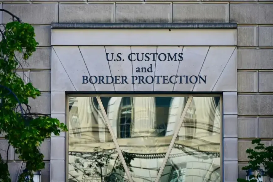 CBP Intercepts Hazardous Grain Pest at Detroit Airport, Urges Declaring Agriculture Items