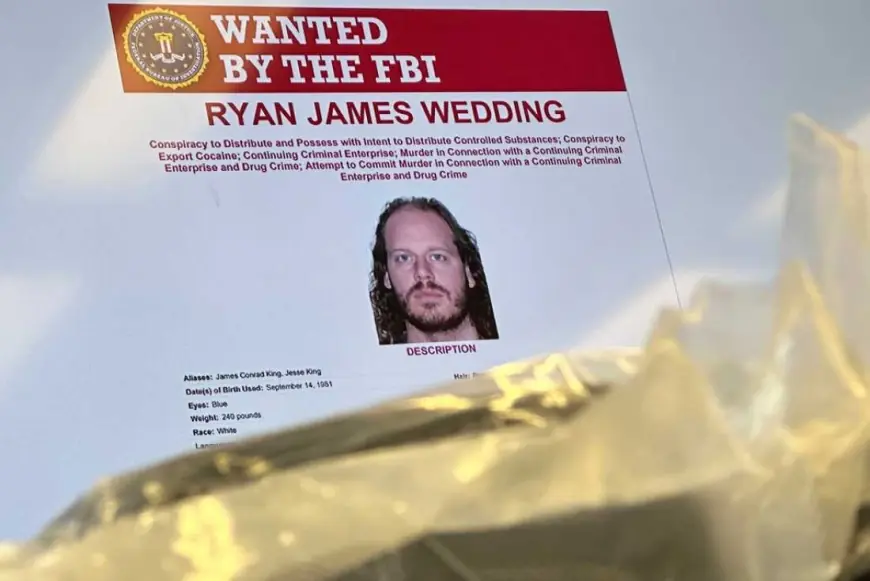 Ryan Wedding arrest forces a fast reckoning for cross-border drug cases and witness safety