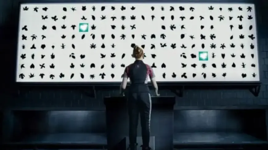 Top YA Franchise of the 2010s Triumphs on Peacock Before 2026 Sequel