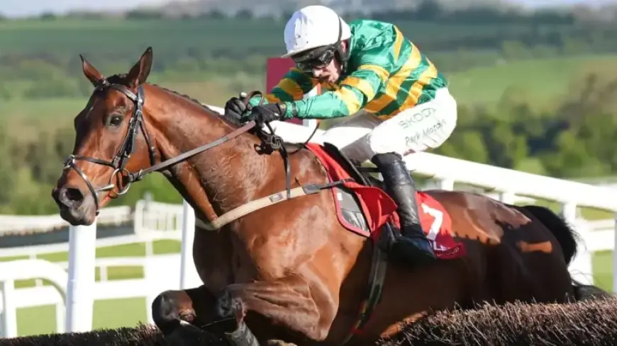 Spillane’s Tower Poised to Outpace Grey Dawning on Cheltenham Trials Day