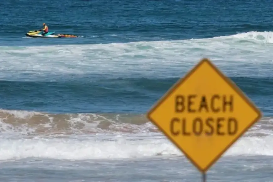 Shark Attack Claims Young Boy’s Life in Sydney Harbour