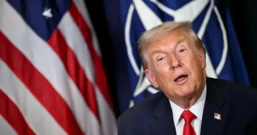 Veterans Respond to Trump’s NATO Troops Remarks on Afghanistan Front Lines