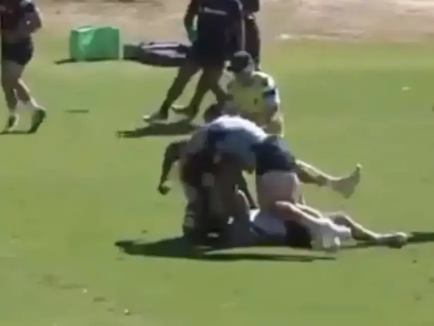Waratah Suffers Facial Fracture in Brutal Fight: Watch Now
