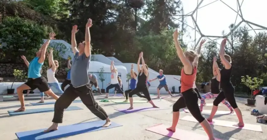 Eden Project Introduces Yoga, Chocolate, and Rainforest Experiences