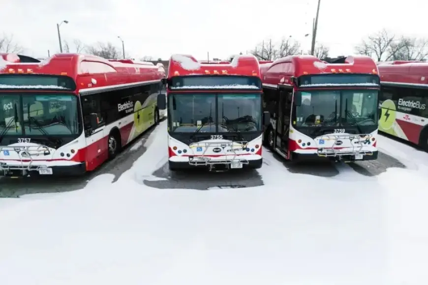 BYD’s First Canadian Manufacturing Venture Fails to Deliver Results