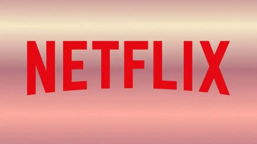 Netflix Cancels Underappreciated Series After Three Seasons