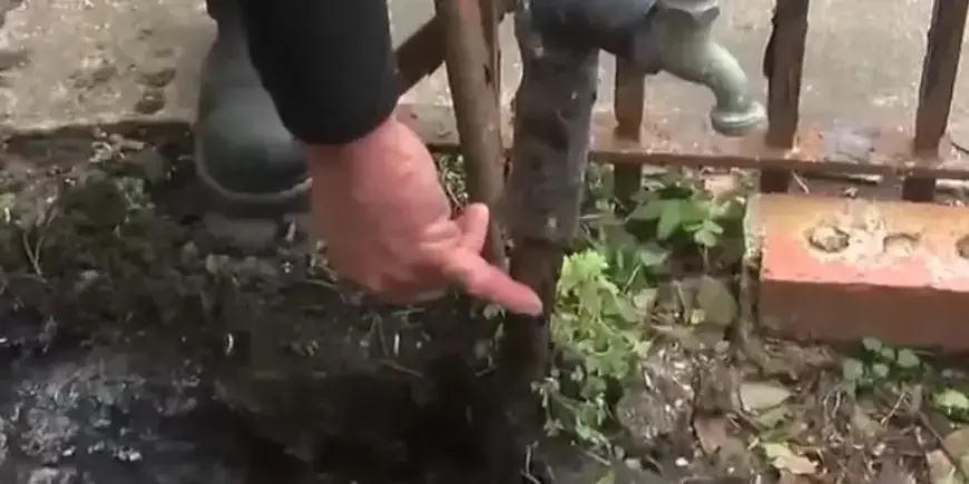 Louisiana Declares Emergency as Arctic Blast Looms