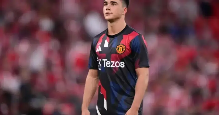 Norwich City Secures Loan Deal for Harry Amass