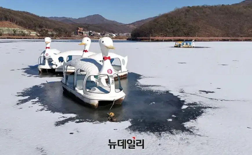 Severe Cold Spell Hits, Windchills Drop to -18°C on the 25th