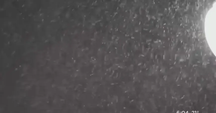 Pittsburgh Snowstorm: Start and End Times Detailed in New Forecast