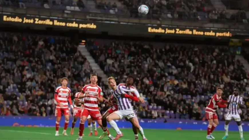 Victory for the Fans