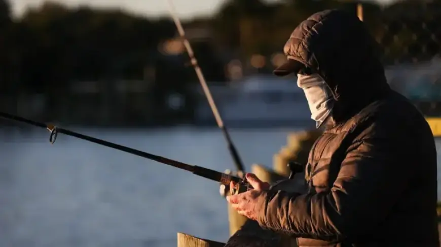 Florida Weather Drops: Mid-80s Heat Plummets to Upper 30s