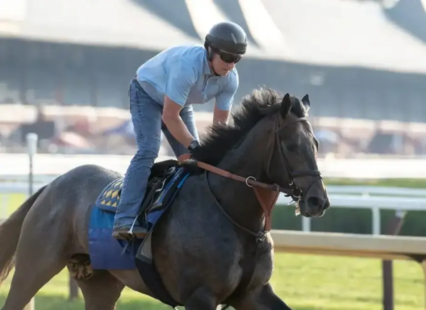 Madaket Road Withdraws from Pegasus World Cup Invitational
